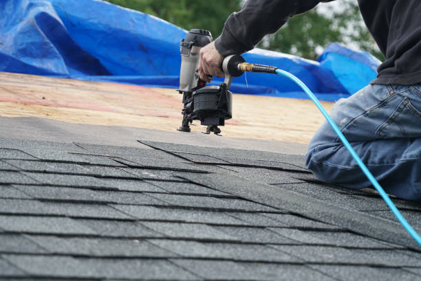 Best Roof Maintenance Services  in Holcom, KS